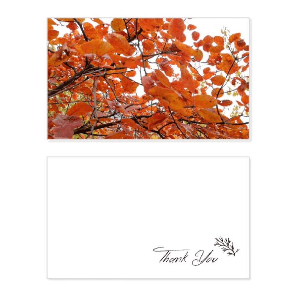red autumn thank you card birthday paper greeting wedding appreciation