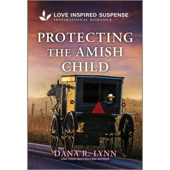 Protecting the Amish Child (Paperback)