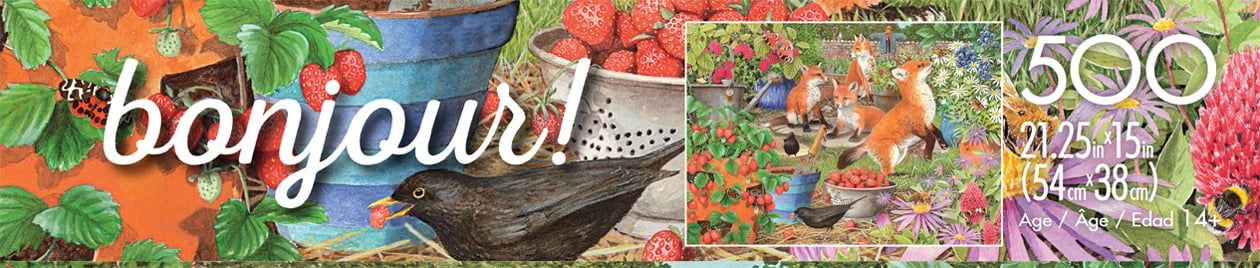 500 BONJOUR - FRENCH