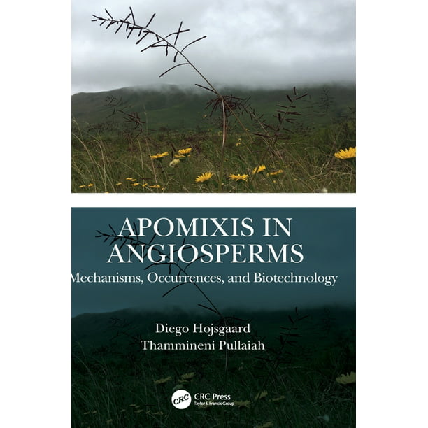 Apomixis in Angiosperms : Mechanisms, Occurrences, and Biotechnology  (Hardcover) 
