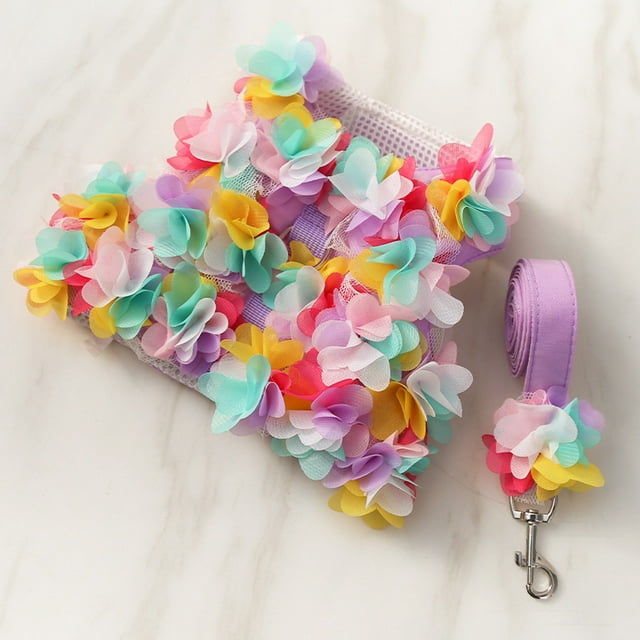 Dog Cat Pet Clothes Chest Strap Traction Rope Lace Teddy Bear Spring Summer Autumn Dog Walking Rope Supplies