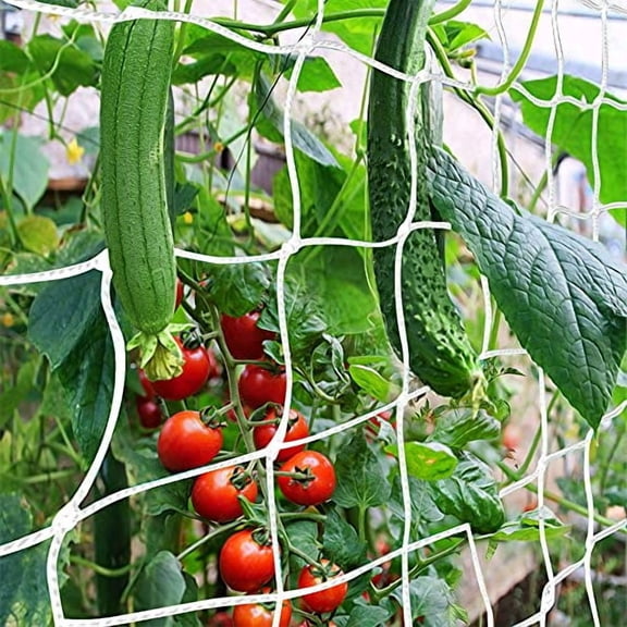 Trellis Netting,Heavy-Duty Garden Plant Trellis Netting for Climbing Plants,Outdoor Indoor Grow Net for Beans Tomatoes Peas Pumpkin Flowers,6x15ft,1 Pack