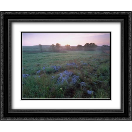 Kansas Prairie Flowers (Misty morning over prairie, Tallgrass Prairie National Preserve, Kansas 2x Matted 24x20 Black Ornate Framed Art Print by Fitzharris,)