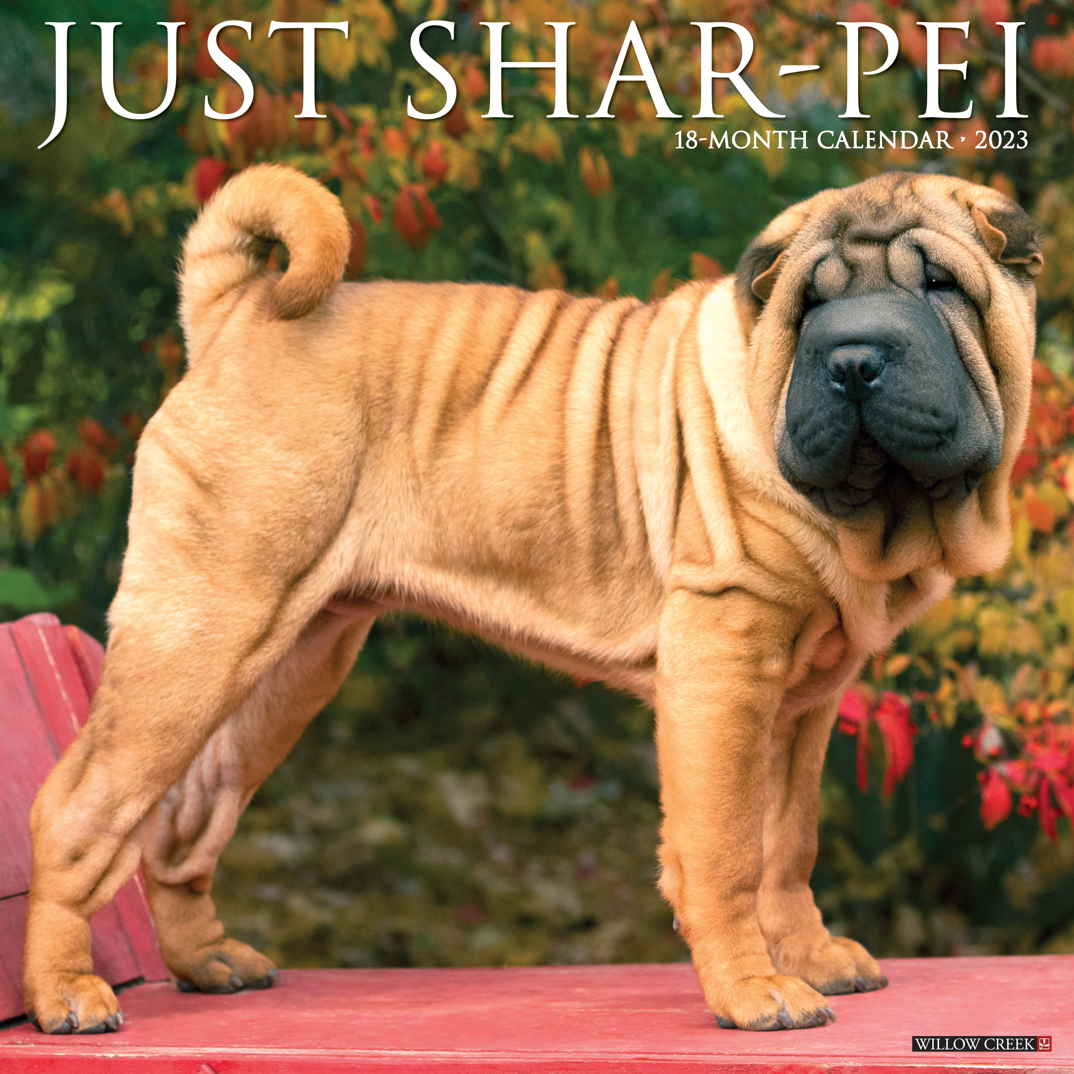 Just Shar-Peis 2023 Wall Calendar