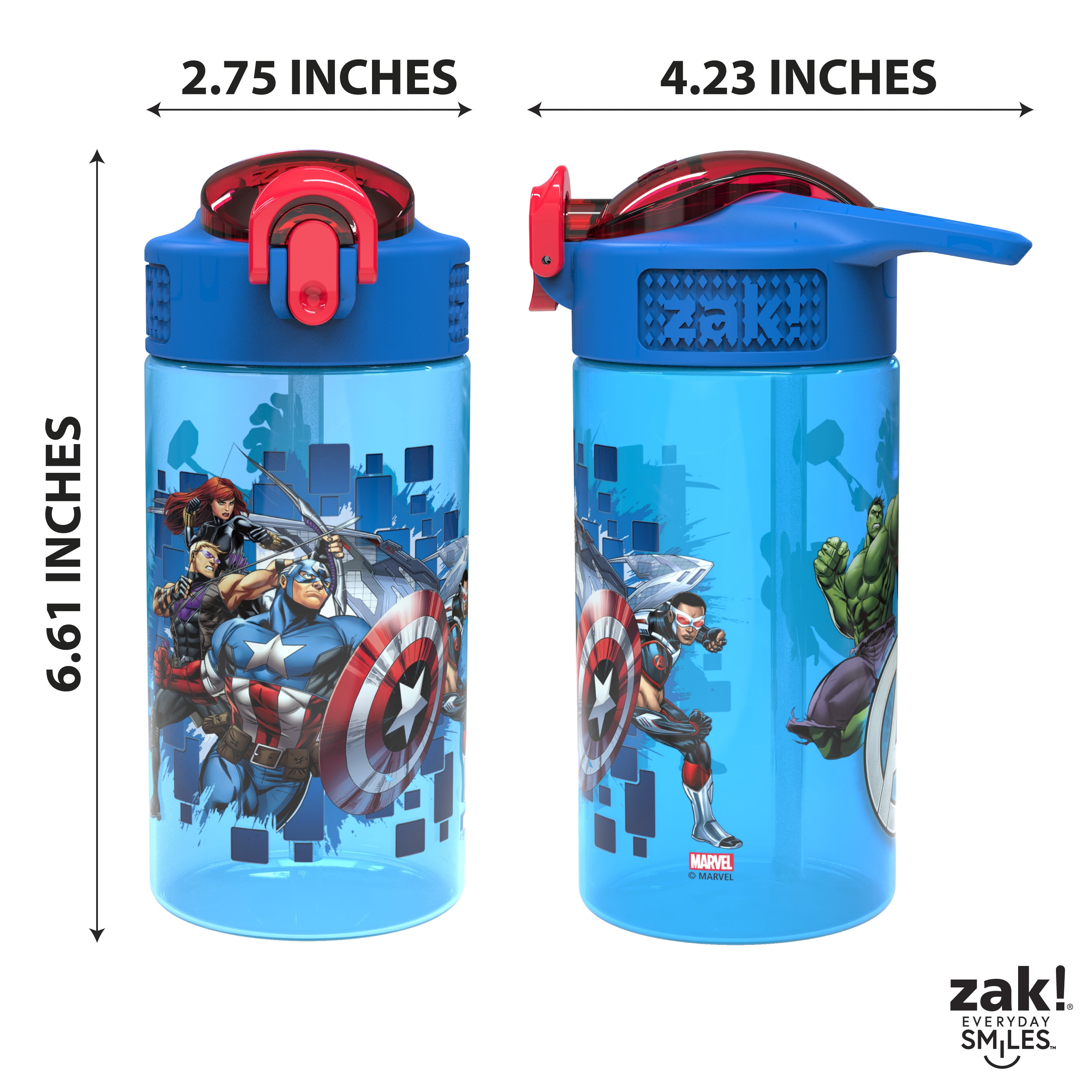 Zak Designs Teenage Mutant Ninja Turtles Kids Water Bottle For School or  Travel, 16oz 2-Pack Durable Plastic Water Bottle With Straw, Handle, and