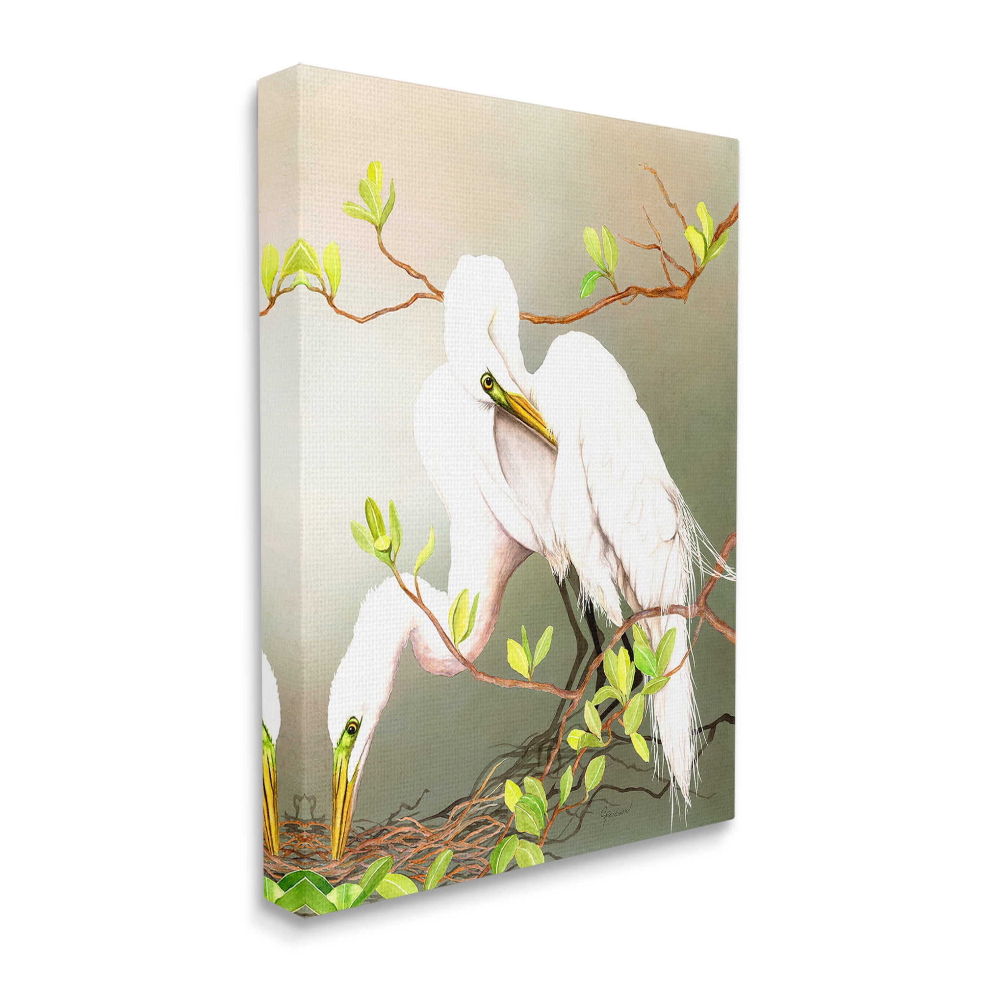 Stupell Industries Gazing Egrets on Branch Animals & Insects Painting Gallery Wrapped Canvas Art Print Wall Art, 36 x 48