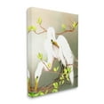 thumbnail image 4 of Stupell Industries Gazing Egrets on Branch Animals & Insects Painting Gallery Wrapped Canvas Art Print Wall Art, 36 x 48, 4 of 8