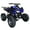 Blue, variant on RPS 200cc Sport ATV TK200 C5