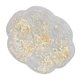 thumbnail image 2 of Nail Art Decals, Resin Nail Art Decorations Dazzling  For Nail Salon For DIY Craft ANGGREK DIY Nail Decorations, 2 of 8