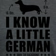 thumbnail image 3 of CafePress - Little German! Dachshund T Shirt - Womens Tri-blend T-Shirt, 3 of 4