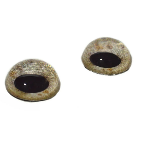 High Domed Sandy Eagle Glass Eyes