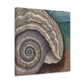 thumbnail image 2 of Shells in Pointillism - Canvas, 2 of 10