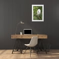 thumbnail image 3 of Morris, Arthur 22x32 White Modern Wood Framed Museum Art Print Titled - FL, St Augustine Snowy egret on tree limb, 3 of 4