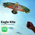 thumbnail image 5 of Eagle Kite for outdoor fun, realistic design, large size, and sturdy material, 5 of 9