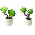 thumbnail image 2 of Coofit Artificial Succulent Decorative Lifelike Simulated Potted Plant Potted Succulent, 2 of 7