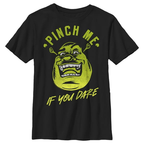 Boy's Shrek St. Patrick's Day Pinch Me if you Dare  Graphic Tee Black Small