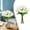 White(20PCS), variant on 20Pcs Artificial Tulips Flowers Fake Faux Pu Tulip Bouquet Real Touch Flower Arrangement For Home Room Office Party Wedding Decoration Excellent Gift Idea For Mothers Day,Spring Home Decor(White)