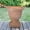 Terracotta, variant on Talon Round Cement Planter Pot, Natural Finish Indoor Outdoor Minimalist Planter