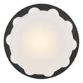 thumbnail image 5 of Hinkley Lighting 47601LCB Zoey 14" Wide Led Flush Mount Drum Ceiling Fixture - Brass, 5 of 7