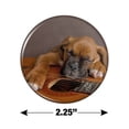 thumbnail image 3 of Boxer Puppy Dog Sleeping on Guitar Kitchen Refrigerator Locker Button Magnet, 3 of 6