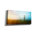 thumbnail image 2 of Cortesi Home ''Internal Landscapes'' by Mario Sanchez Nevado Graphic Art on Wrapped Canvas, 2 of 2