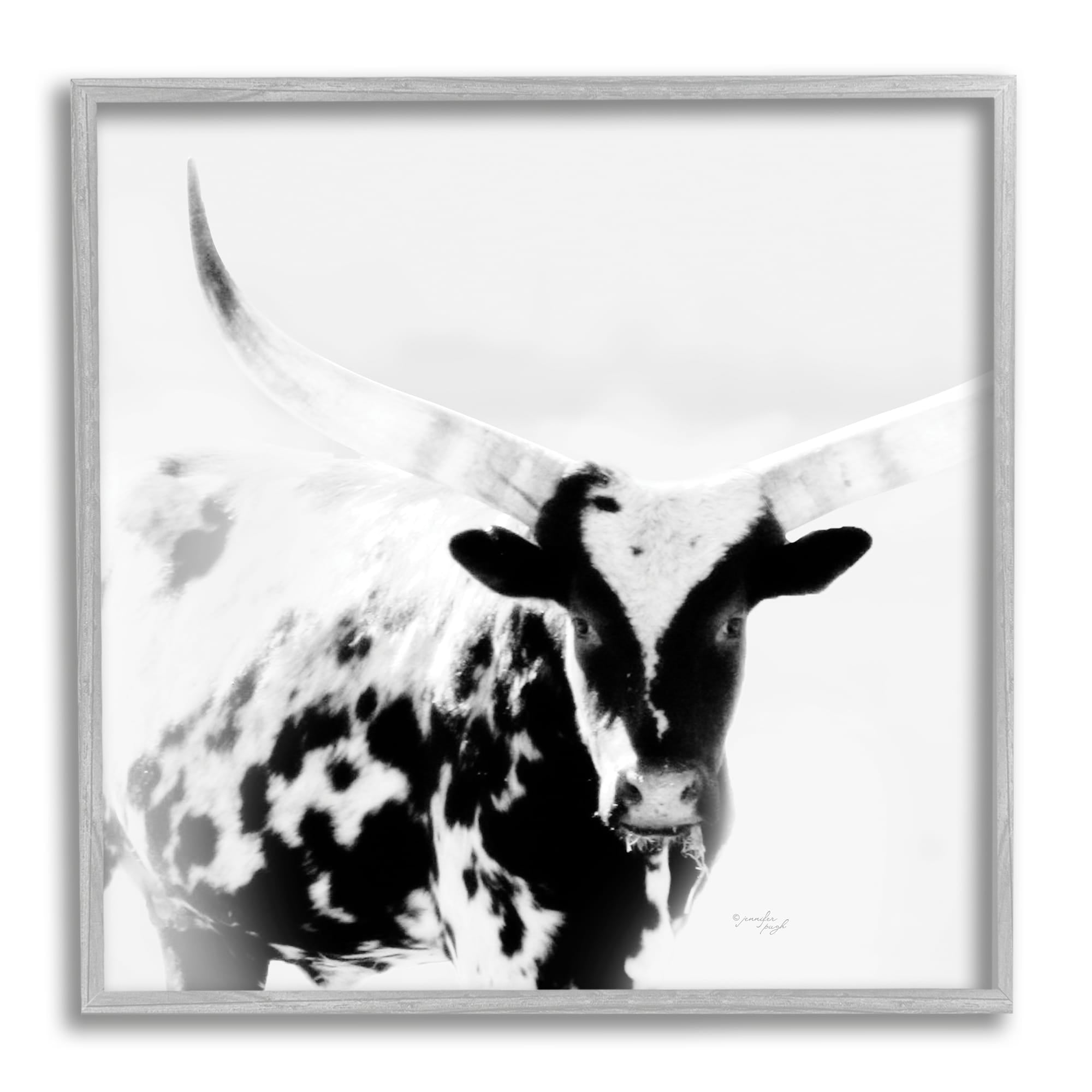 Stupell Industries Spotted Longhorn Cattle Meeting Gaze Animal Portrait Photograph Gray Framed Art Print Wall Art, Design by Jennifer Pugh