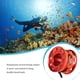 thumbnail image 5 of Carrete de dedo de buceo Eigraketly OD030917-03B Cuerda de alta densidad 15m Rojo, 5 of 6