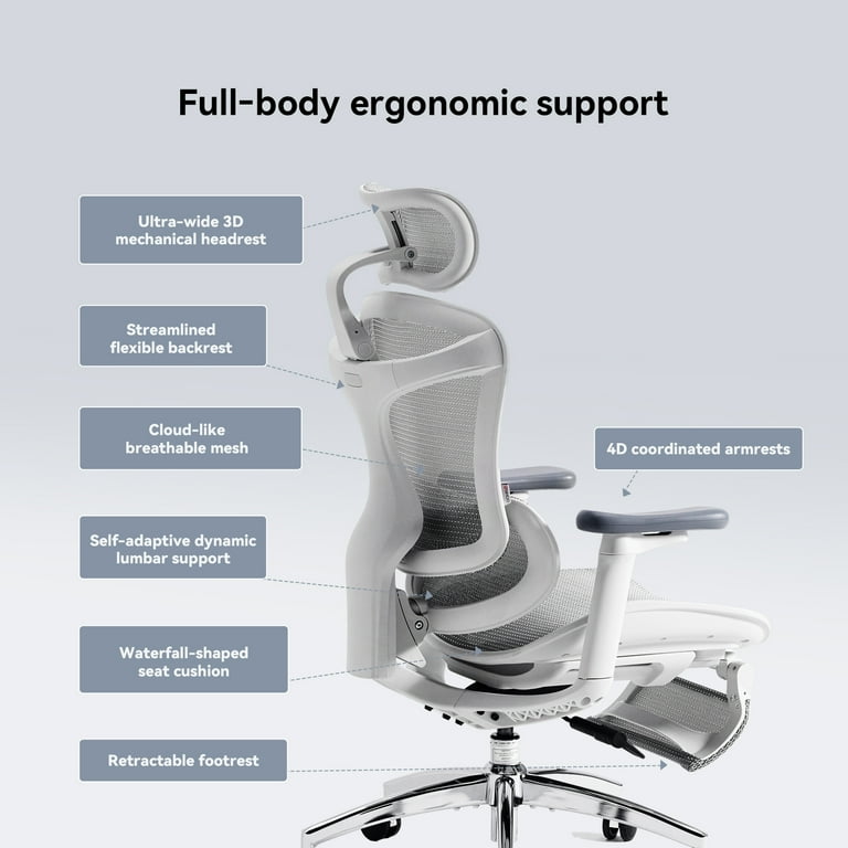 SIHOO Doro C300 Ergonomic Office Chair, Office Chair with Soft