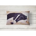 thumbnail image 2 of Carolines Treasures AMB1080PW1216 Naptime Border Collie Fabric Decorative Pillow, 2 of 3