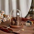 thumbnail image 4 of 1 Pc Glass Display Dome Cloche 4.06x6.3 Inch Cloche Bell Jar Terrarium with Cork Base Decorative Display Dome Case for Plants Flower Christmas Display Decoration Clear, 4 of 7