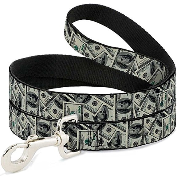 buckle-down pet leash - bacon slices