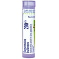 thumbnail image 3 of Boiron Ranunculus Bulbosus 200CK Homeopathic Single Medicine For Pain 80 Pellet, 3 of 13