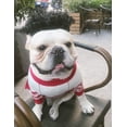 thumbnail image 4 of Peluca de disfraz de perro (afro), peluca pequeña mediana para perros/gatos, disfraz de mascota, sesión de fotos, pelucas, lindos accesorios para el cabello, 4 of 5