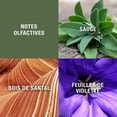 thumbnail image 4 of Perfume Geoffrey Beene de franela gris, 120 ml, para hombre, 4 of 4