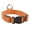 Orange, variant on Tuobarr Dog Collar, Light Up Dog Collar, LED Collar with USB Rechargeable, Bright High Visibility Lighted Glow Collar for Pet Night Walking In 4 Colors Yellow