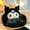 Kuromi Surround Cushion [55*45cm], variant on Kawaii Kuromi Cushion Chair, Comfy Cartoon Plush Seat Cushion, Floor Pillow Floor Cushions, Cute Office Chair Cushion Room Decor for Girls Woman