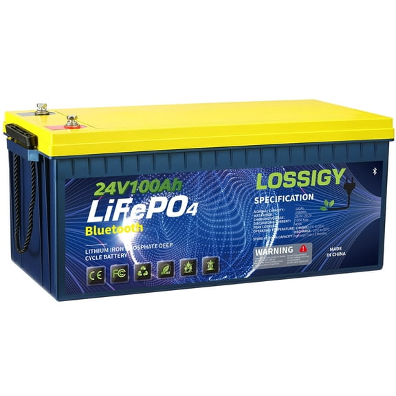LOSSIGY 24V 100AH LiFePO4 Lithium RV Battery, Perfect for Solar System, Marine, 2560Wh 5000  Deep Cycles, Built in BMS with 10 Yrs Lifespan