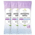thumbnail image 1 of Toallitas antibacterianas para cuerpo y manos Nurture XL sin alcohol, 1 of 7