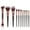 Black, variant on Makeup Brush Set 10 Piece Soft Foundation Powder Eyeshadow Concealer Face Cosmetic Tools Kit for Application 10PCS