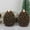 Brown 2pcs, variant on 2 Pcs Christmas Flameless Pine Cone Candle, LED Candles , Real Wax Battery Operated Candles for Fireplace Decor, Holiday Indoor Decoration,Pinecone LED Candles Christmas Home Holiday Decoration