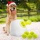 thumbnail image 1 of Lanzador automático de pelotas para perros, ideal para perros medianos y grandes, 1 of 9