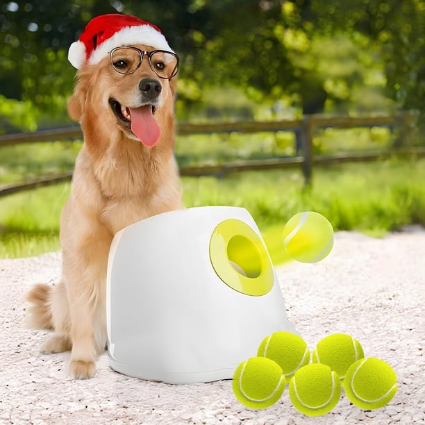 Lanzador automático de pelotas para perros, ideal para perros medianos y grandes