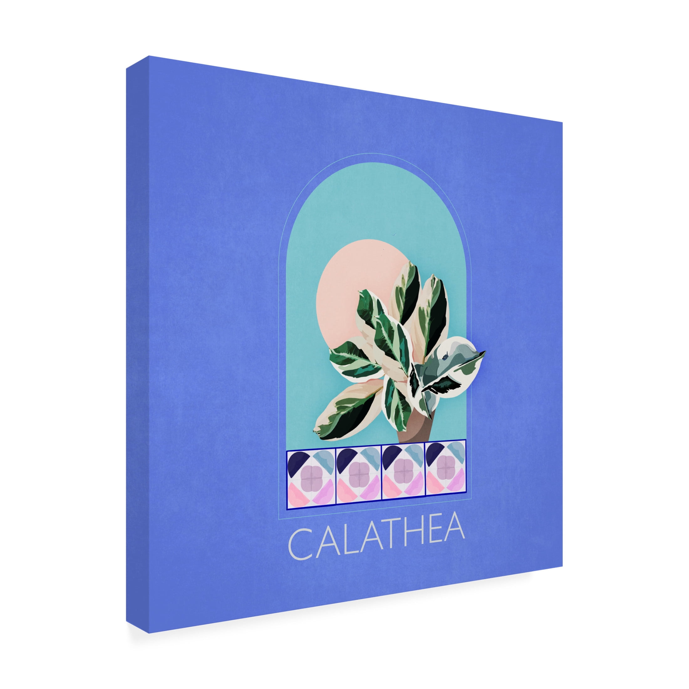 Trademark Fine Art Emel Tunaboylu  Green Sets Calathea Canvas Wall Art