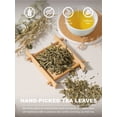 thumbnail image 3 of TeeLux Decaf Green Tea, CO2 Decaffeinated Green Tea Loose leaf, Delicate & Smooth Flavor, 7oz, 3 of 8