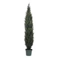 thumbnail image 1 of Vickerman T160184 Arbre de Cyprès UV Everyday - 7 Pieds, 1 of 1