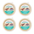 thumbnail image 2 of Multi-Color Dinosaur in Sand Surprise Party Favors, 4 Count, by Way To Celebrate, 2 of 4