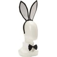 thumbnail image 2 of Adult Women's Rabbit Accessory Kit, 2 of 3