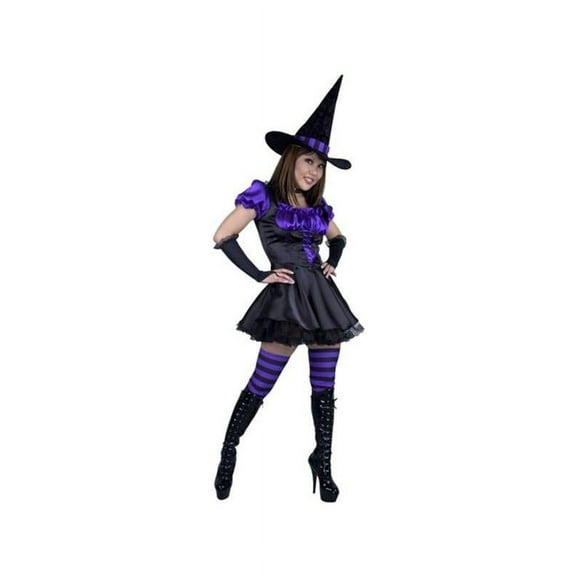 Adult Storybook Witch Costume