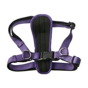 Vibrant Life Polyester Step-in Dog Harness, Assorted Gray or Purple, Medium