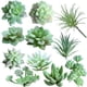 thumbnail image 4 of Simulación de traje carnoso, simulación de cabeza de flor, simulación de ramo, simulación de planta, decoraciones para el hogar, 4 of 6
